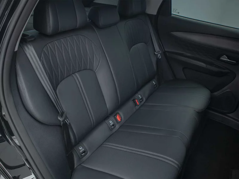 Vehicle Image for 23/27for Lepas L4 1.5T Pantera DCT